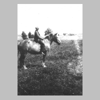 080-0019 Das Pferd von Otto Petrusch.jpg